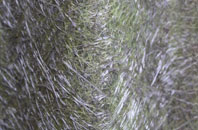 Edenbridge fibreglass roof work